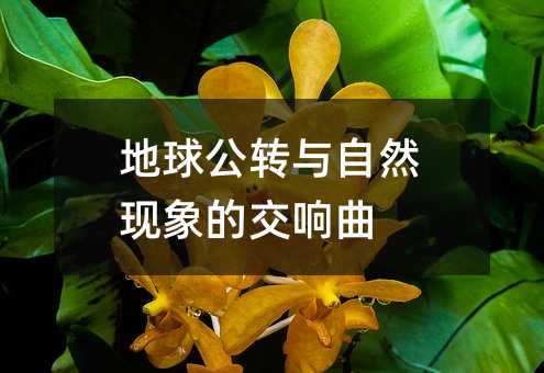 地球公转与自然现象的交响曲