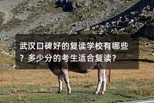 武汉口碑好的复读学校有哪些?多少分的考生适合复读?