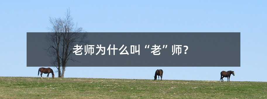 老师为什么叫“老”师?