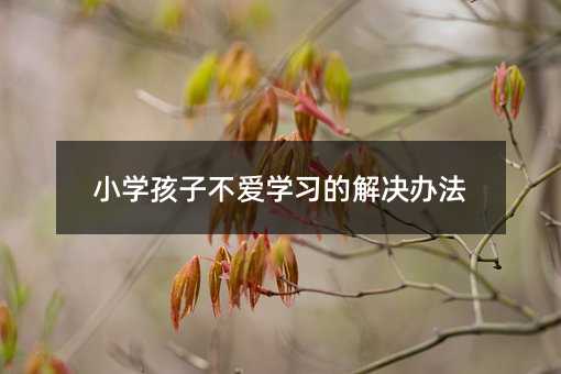 小学孩子不爱学习的解决办法