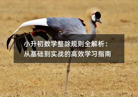 С������ѧ��������ȫ�������ӻ�����ʵս�ĸ�Чѧϰָ��