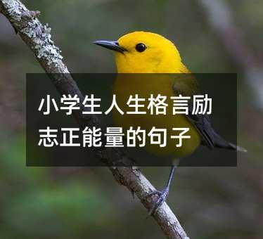 小学生人生格言励志正能量的句子