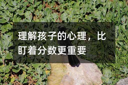 理解孩子的心理,比盯着分数更重要