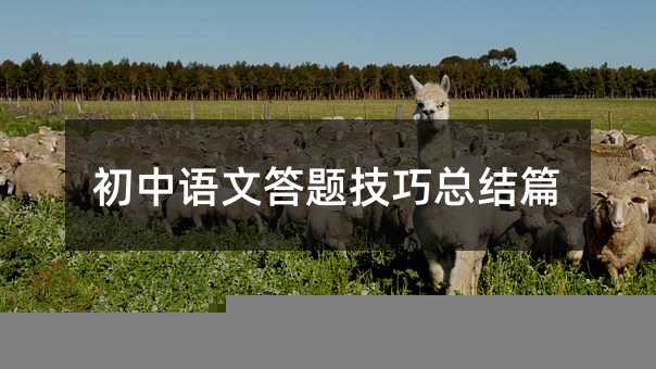 初中语文答题技巧总结篇