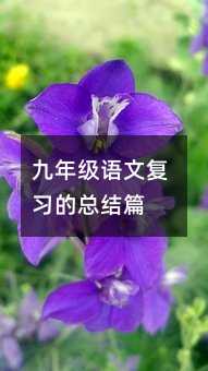 九年级语文复习的总结篇