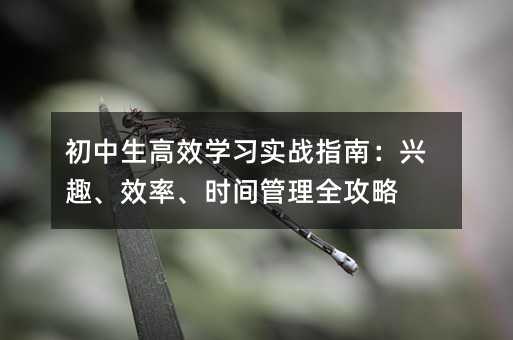 ЧѧϰʵսָϣȤЧʡʱȫ