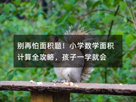 别再怕面积题!小学数学面积计算全攻略,孩子一学就会