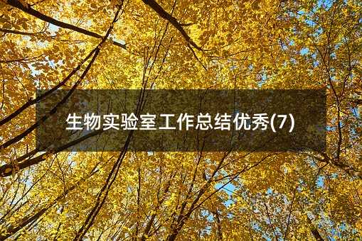 ����ʵ���ҹ����ܽ�����(7)