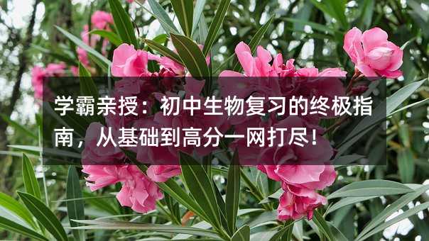 ѧ�����ڣ��������︴ϰ���ռ�ָ�ϣ��ӻ������߷�һ���򾡣�