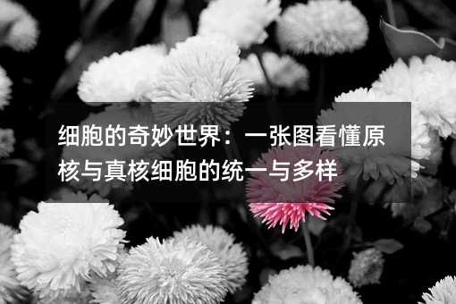 ϸ�����������磺һ��ͼ����ԭ�������ϸ����ͳһ�����