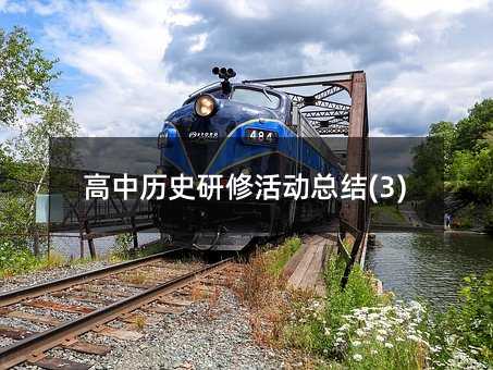 高中历史研修活动总结(3)
