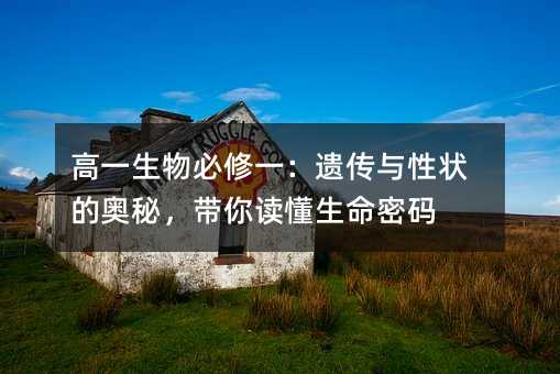 ��һ�������һ���Ŵ�����״�İ��أ����������������