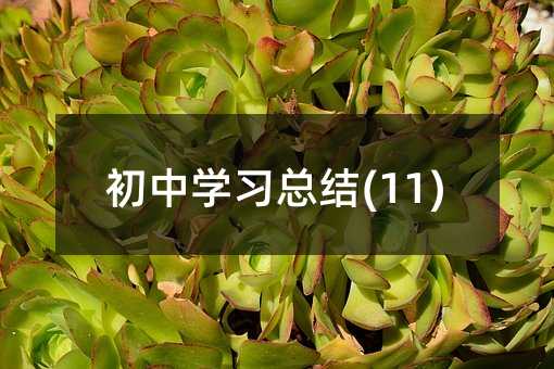 ����ѧϰ�ܽ�(11)