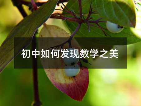 初中如何发现数学之美