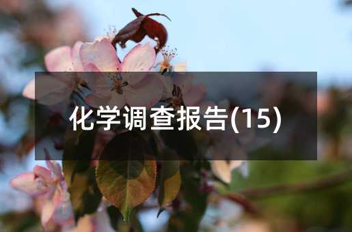 化学调查报告(15)