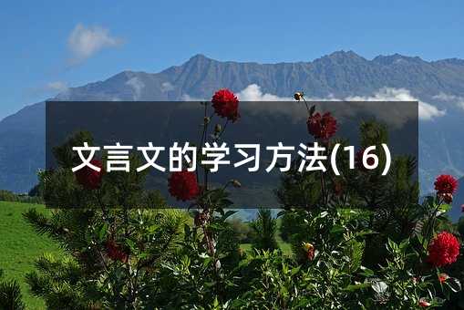 文言文的学习方法(16)