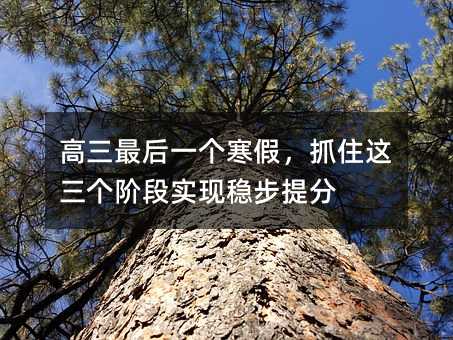 高三最后一个寒假,抓住这三个阶段实现稳步提分