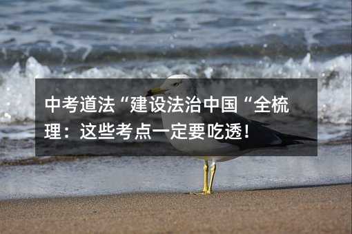 中考道法“建设法治中国“全梳理:这些考点一定要吃透!
