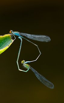 �ߵ���ѧѧϰ�������ŵ���ͨ�����ؾ���